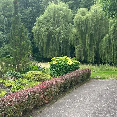 Kiara *